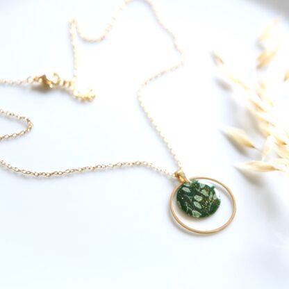 Collier Pléomelle